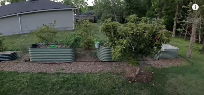 The Raised Garden Bed Question That Started It All …