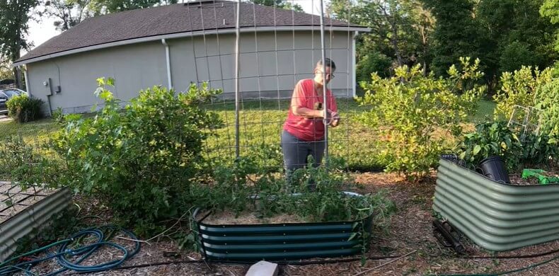 How to Build a Tomato Trellis, Faster – Even with a Swap