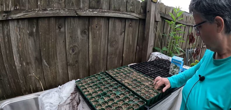 Mother of Plants – Garden Chores in the Meadow | VLOG