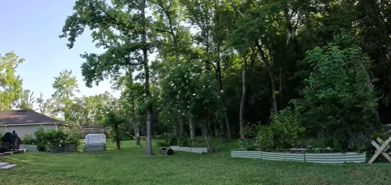 Imperfect Garden Tour – May 2025 – FULL TOUR
