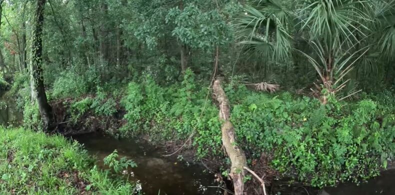 How We Got Here and There (The Land Across The Creek)