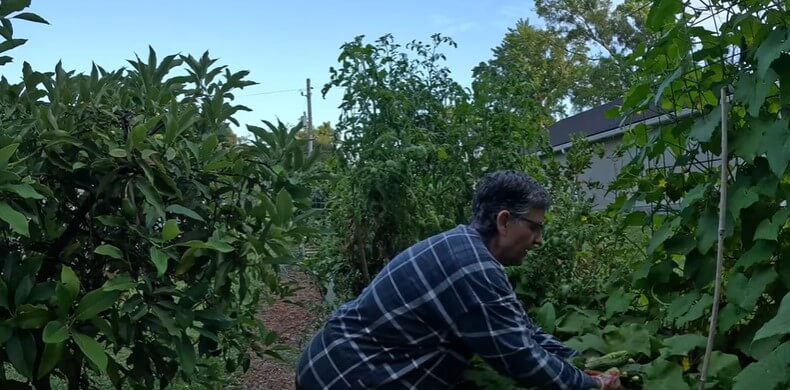 Before The Day Gets Away From Me | Garden VLOG