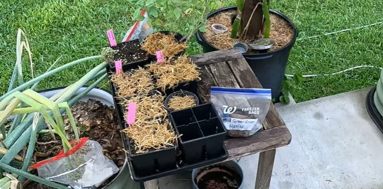 Managing Expectations in and out of the Garden | Garden VLOG