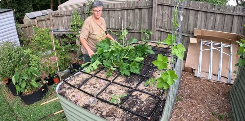 Garden Grid vs Raised Bed Garden Drip Irrigation Kit – Comparison and Review