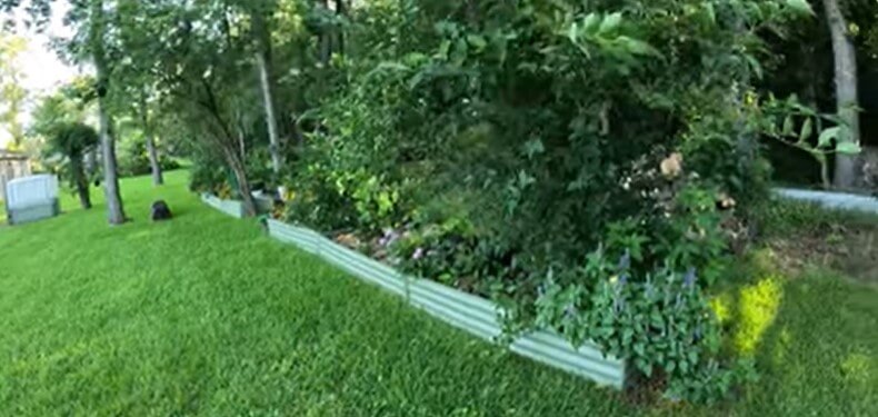 The Imperfect Garden Tour July 2025 – Florida Zone 9B Garden