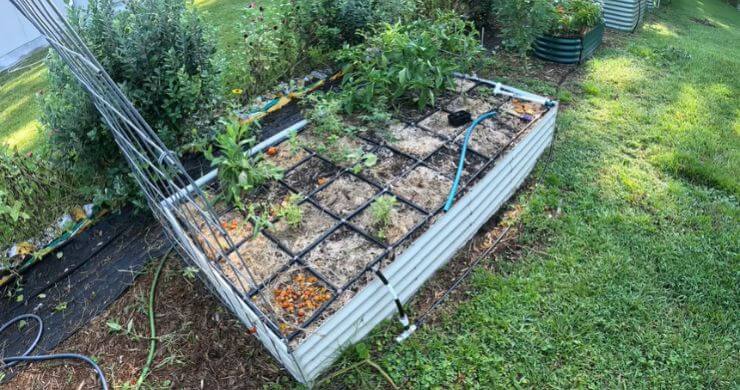 Garden Bed Makeover: Clearing Space for Florida’s Hottest Season