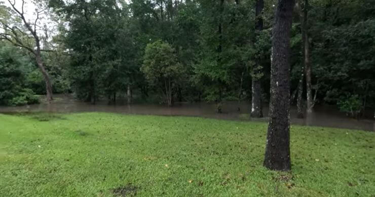 Flood Update From My Garden