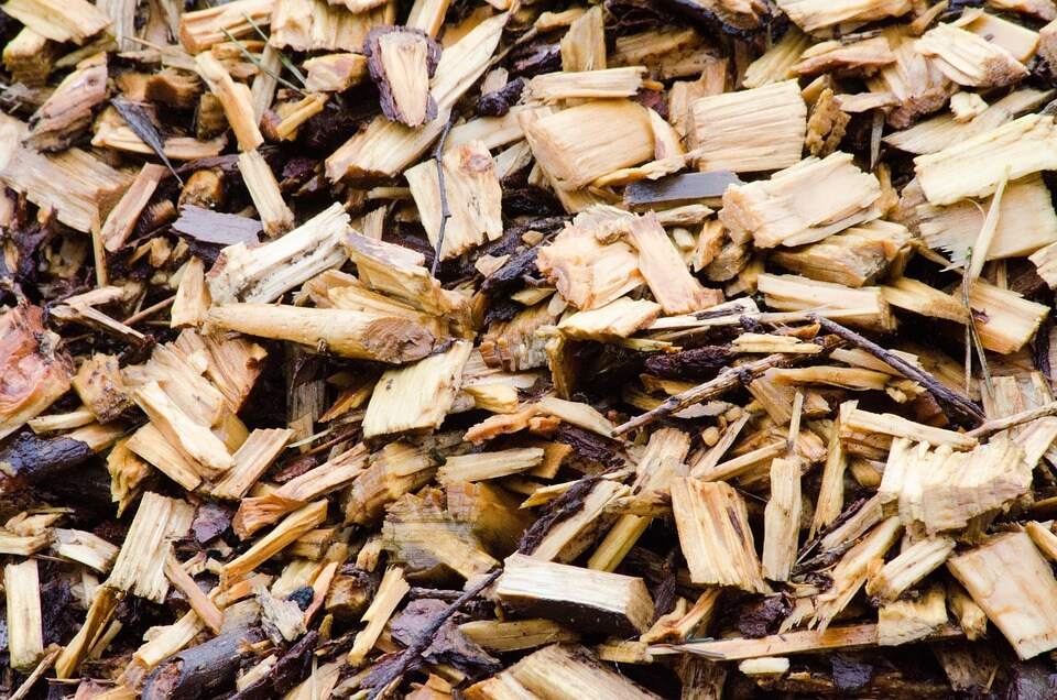 Wood Chip Mulch: Things You Should Know