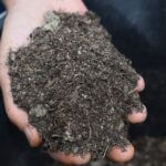 mulch-4827133_960_720.jpg