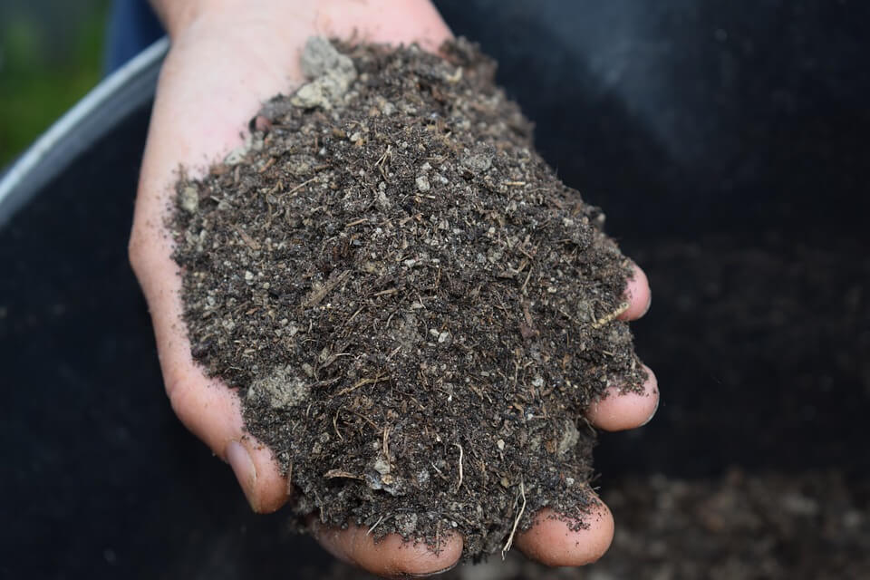 Types of Mulch: Choosing The Right One