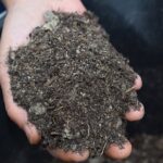 mulch-4827133__340.jpg