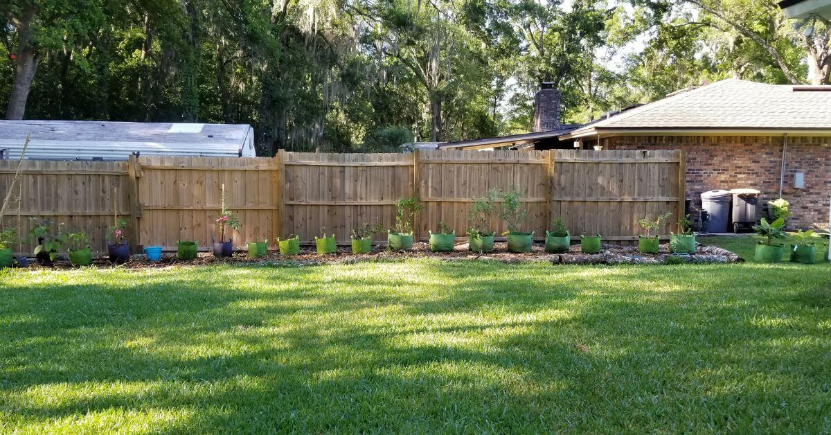 Sun, Shade, and Soil: Optimizing Garden Conditions for Spring Growth