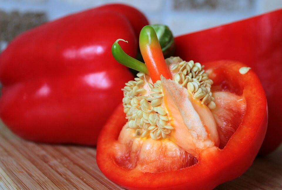 Garden Hacks: Germinating Pepper Seeds Faster