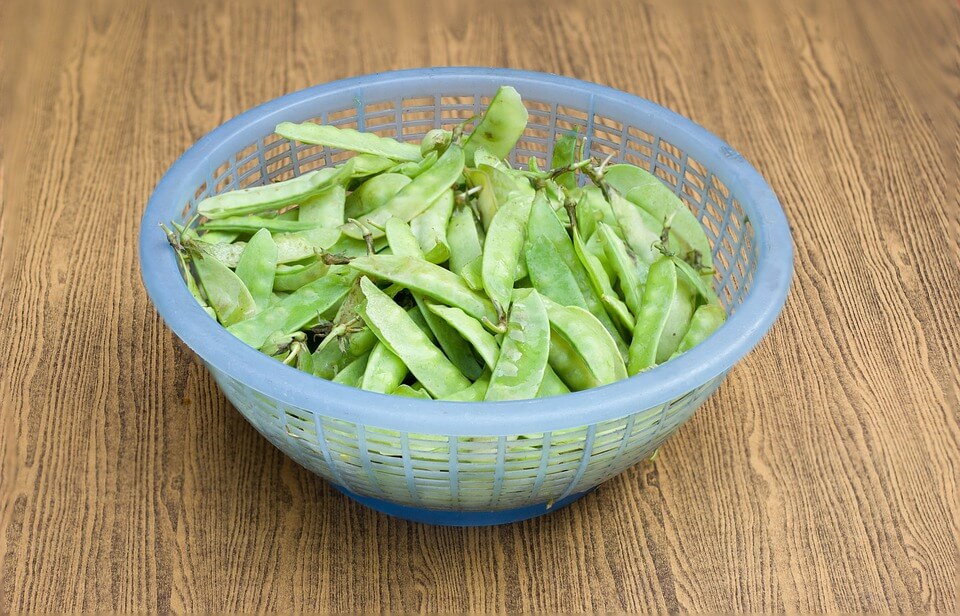 Growing Snow Peas For Sweet Stir-Fries
