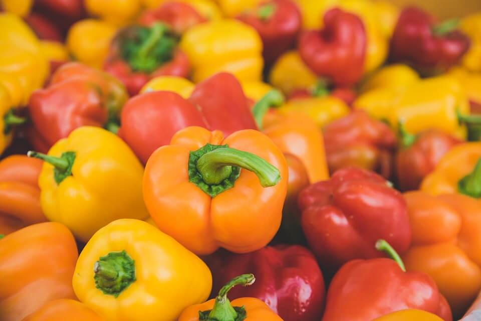 Growing Bell Peppers For Bright Colorful Harvests