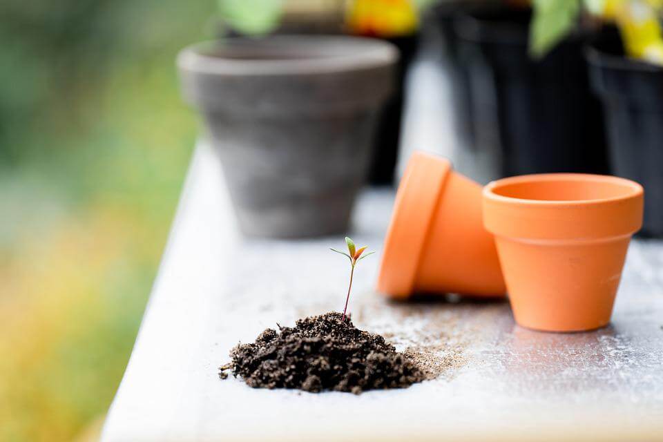 How to Make Your Own Potting Soil