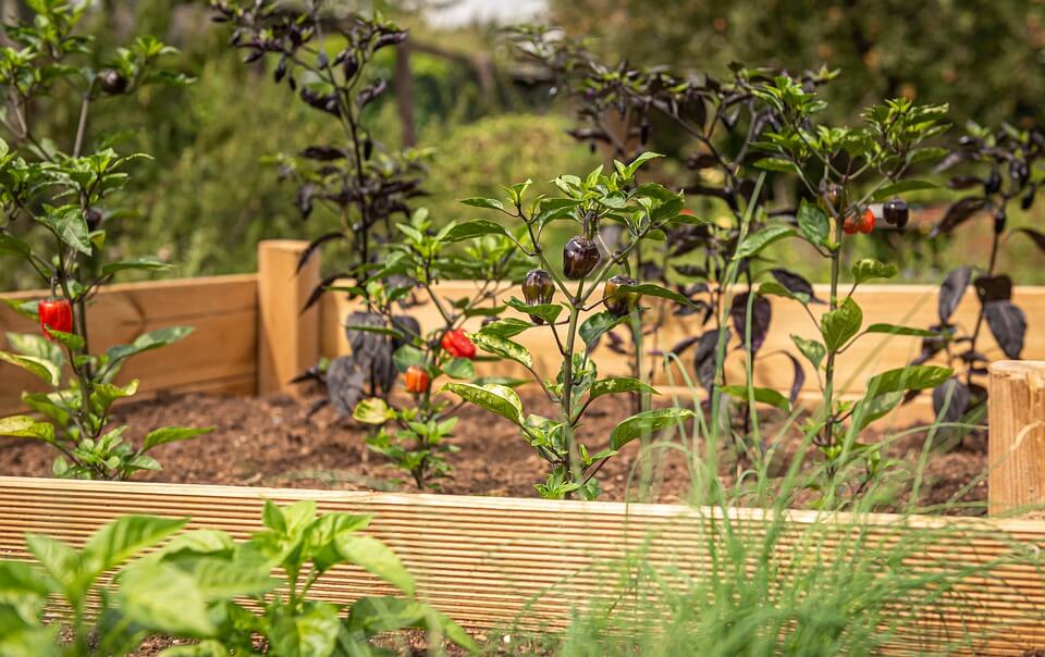 Hugelkultur Raised Bed Gardens From Start To Finish
