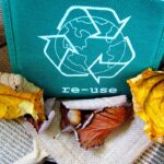 recycle-57136_960_720.jpg