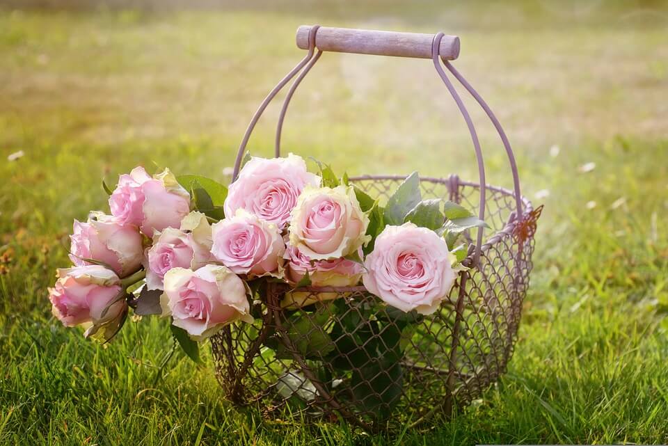 18 Best Flowers for a Cutting Garden15