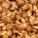 shiitake-7002_960_720.jpg