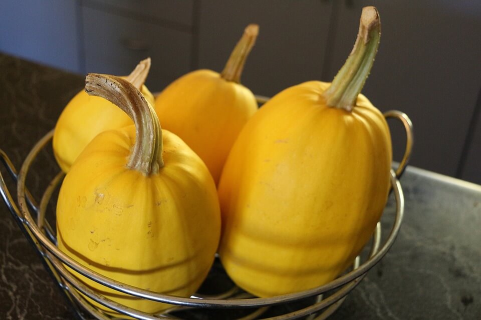 When To Pick Spaghetti Squash For Perfection