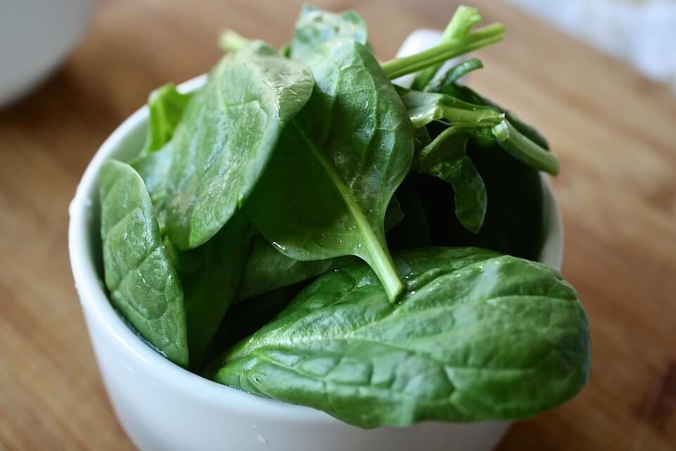 Growing Spinach Successfully