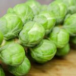 sprouts-1091633__340.jpg