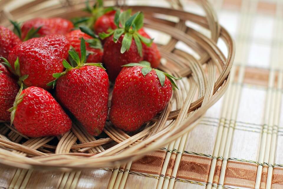 Growing Strawberries