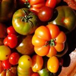 tomatoes-3339515__340.jpg