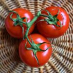 tomatoes-3520004_960_720.jpg