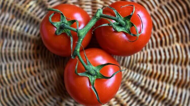 tomatoes-3520004_960_720.jpg
