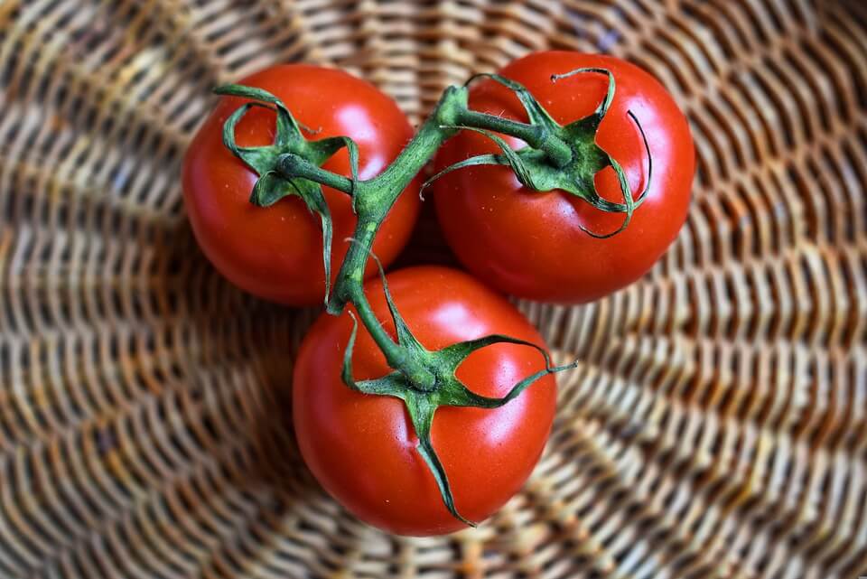 How To Grow Tomatoes