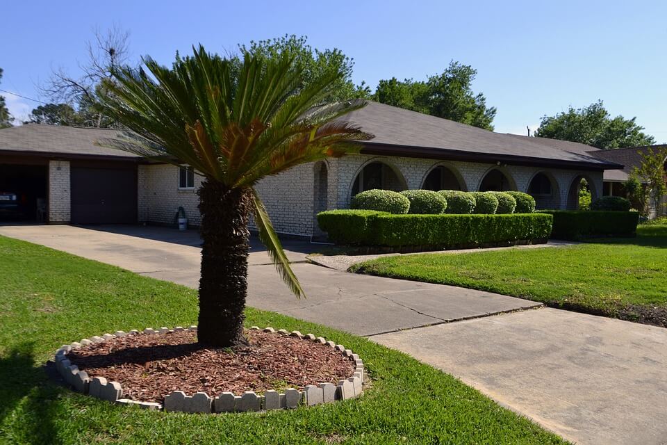 Mulch Around Trees: Good Or Bad?