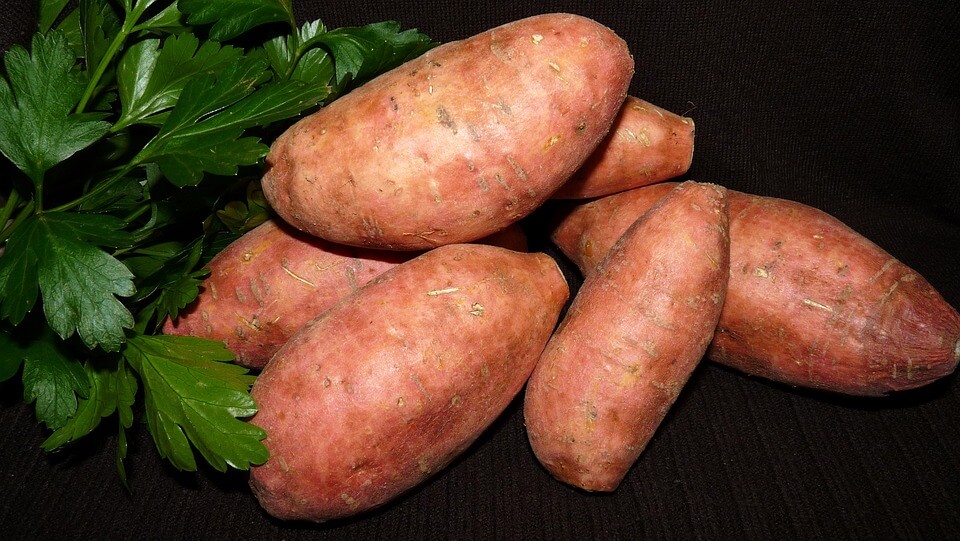 vegetable-3559112_960_720.jpg