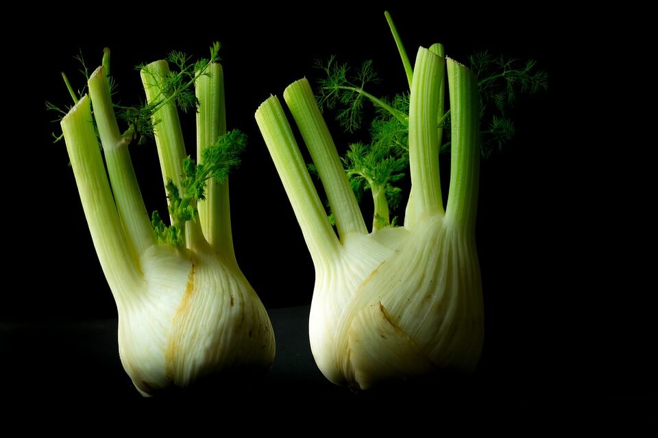 How to Grow Fennel