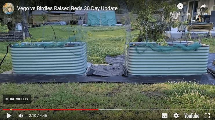 Vego or Birdies Raised Garden Beds Corrugated Metal
