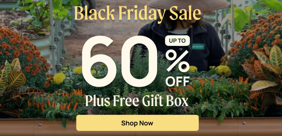 Vego Garden Black Friday Deals 2023