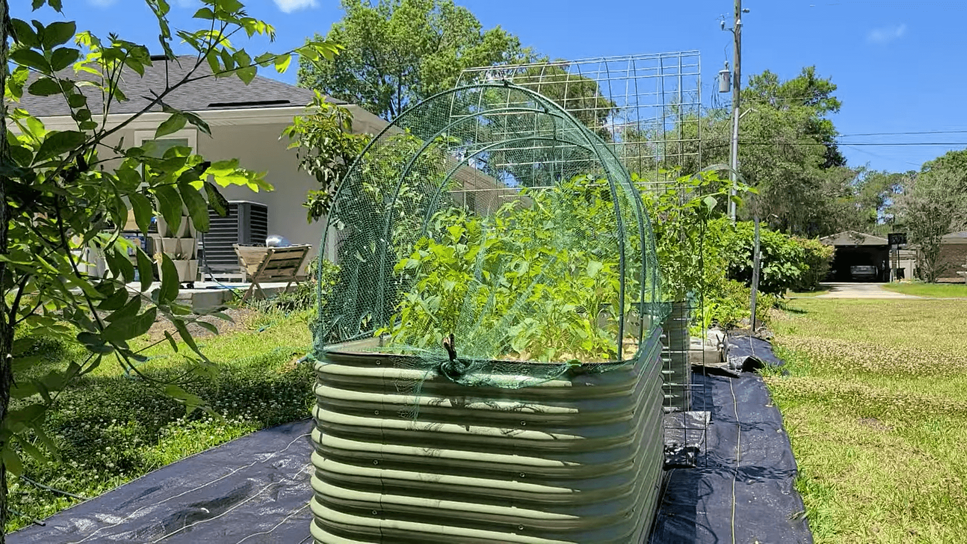 Hoops and Netting for my Vego Raised Garden Bed